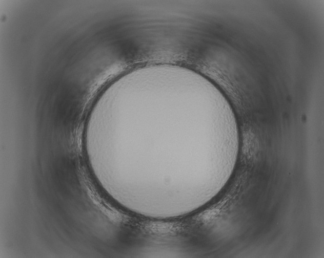 X0000084020632200703161740