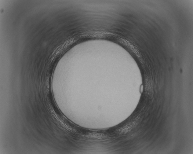 X0000084020633200703161740