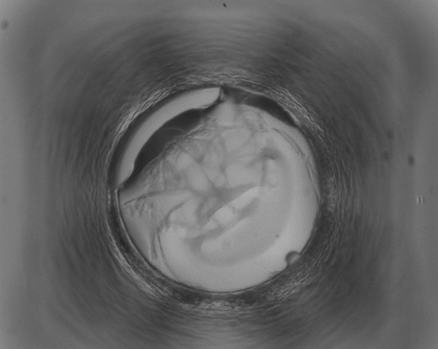 X0000084020634200703161740