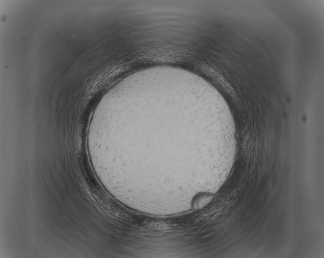 X0000084020635200703161740