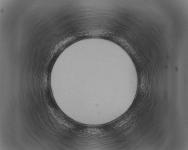 X0000084020636200703161740