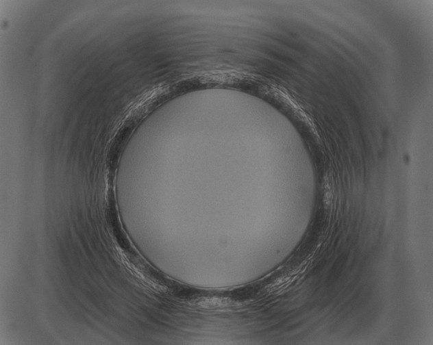 X0000084020637200703161740