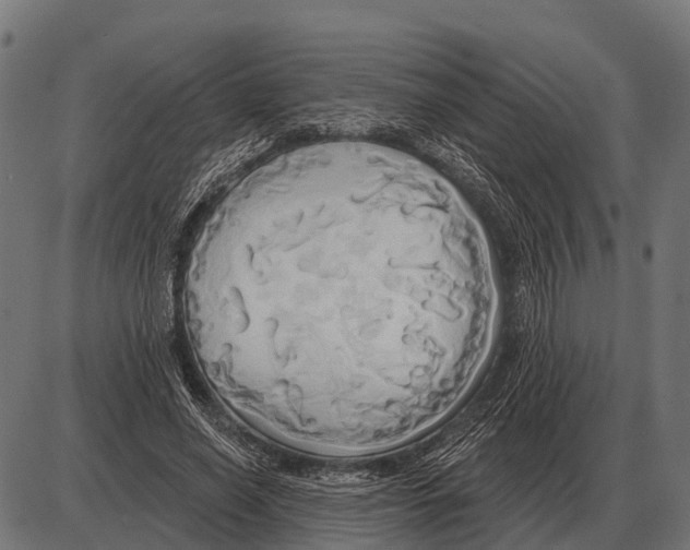 X0000084020638200703161740