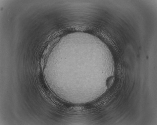 X0000084020639200703161740