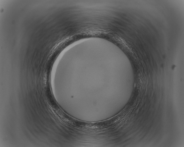 X0000084020640200703161740