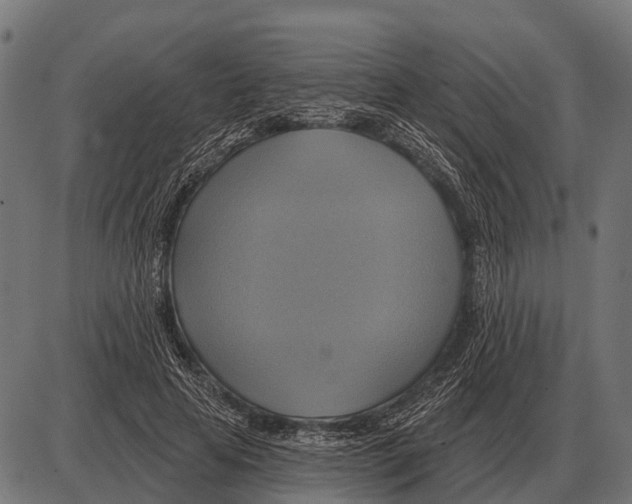 X0000084020641200703161740