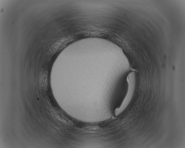 X0000084020642200703161740