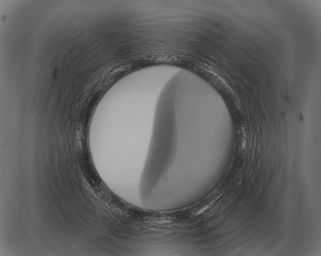 X0000084020643200703161740