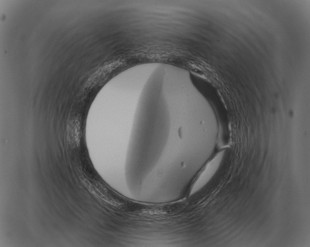 X0000084020644200703161740