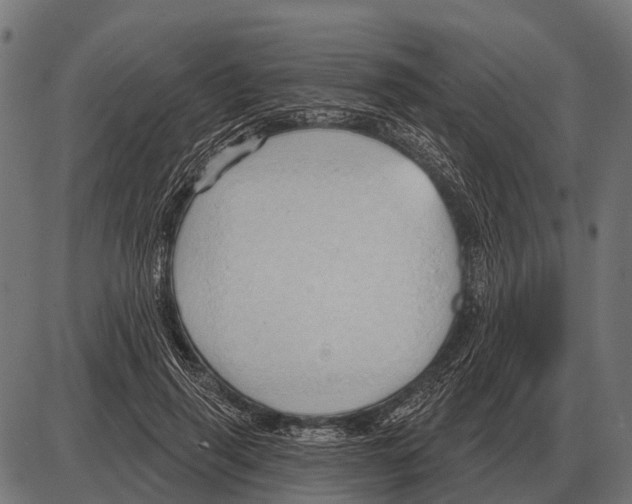 X0000084020645200703161740