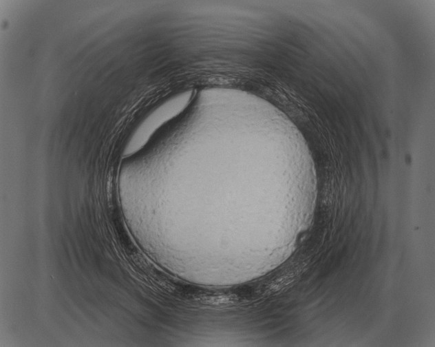 X0000084020646200703161740