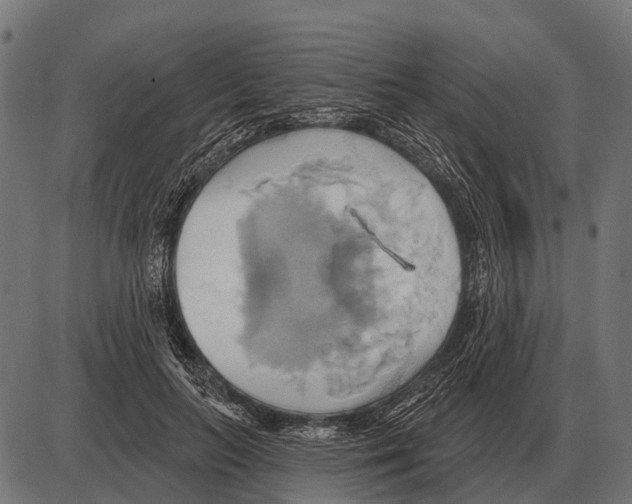 X0000084020647200703161740