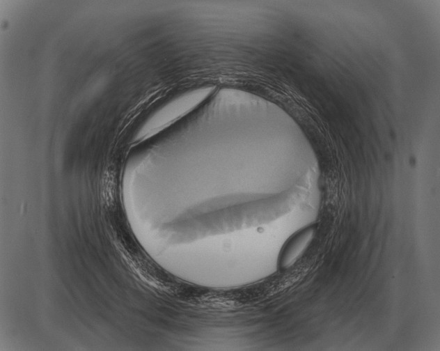 X0000084020648200703161740