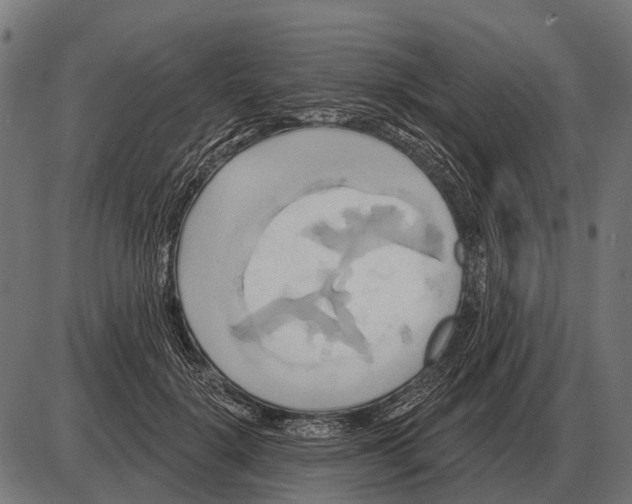 X0000084020652200703161741