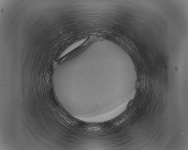 X0000084020653200703161741