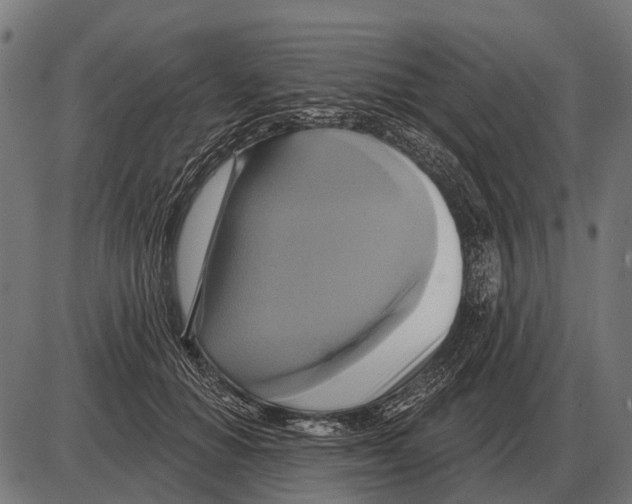 X0000084020654200703161741