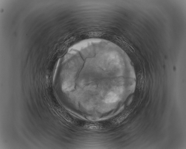 X0000084020655200703161741