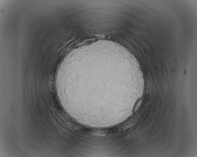 X0000084020656200703161741