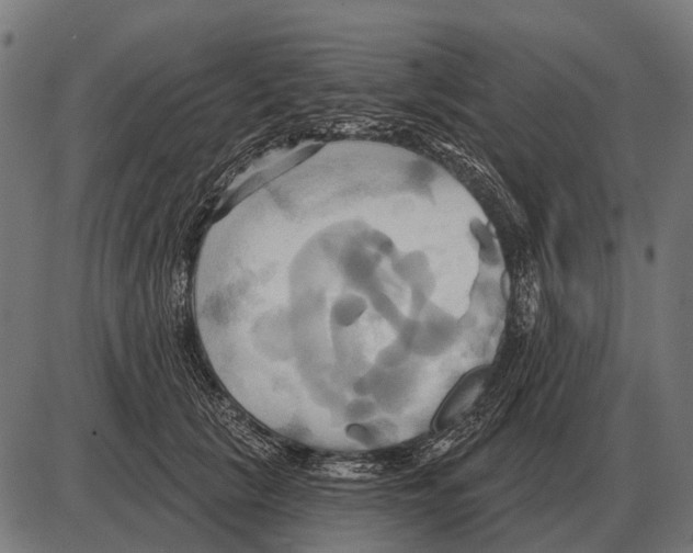 X0000084020657200703161741