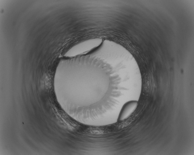 X0000084020658200703161741