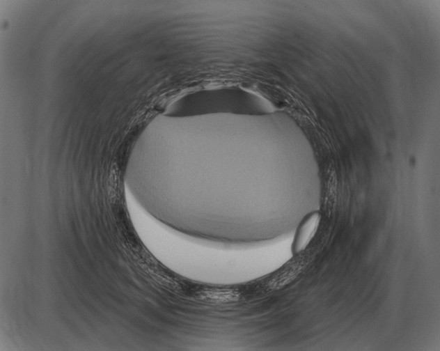 X0000084020659200703161741