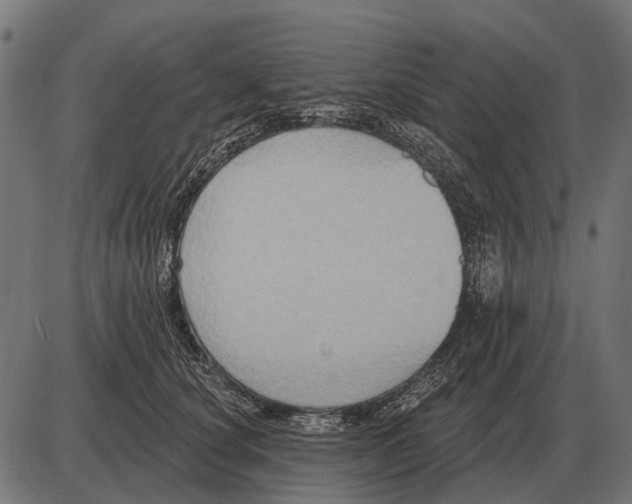 X0000084020660200703161741