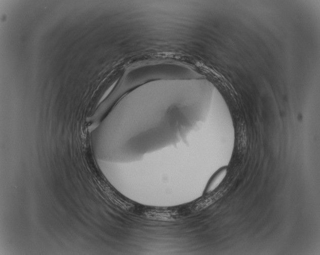 X0000084020661200703161741