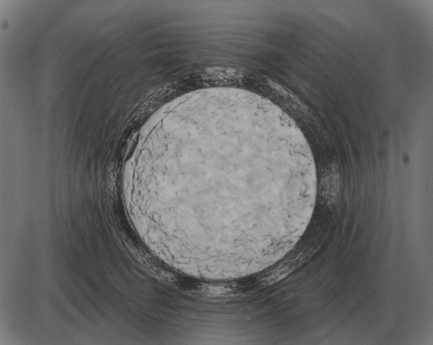 X0000084020662200703161741