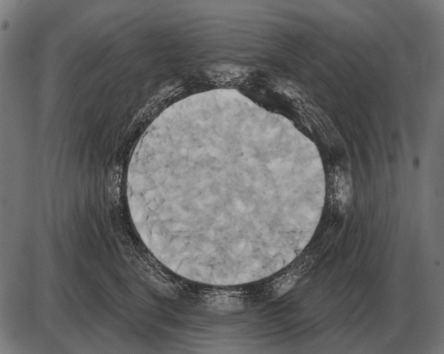 X0000084020664200703161741