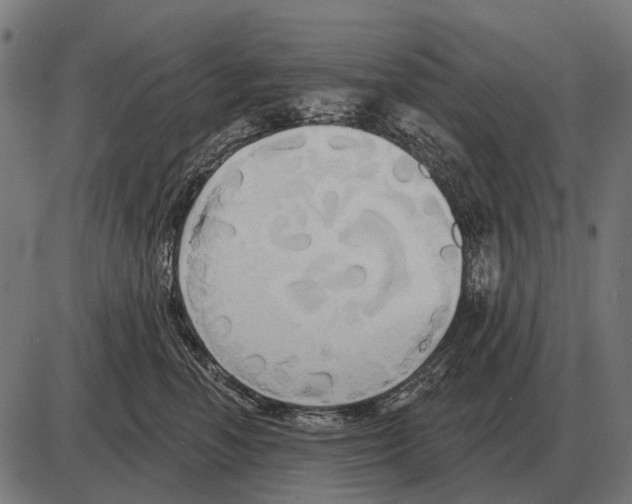 X0000084020666200703161741