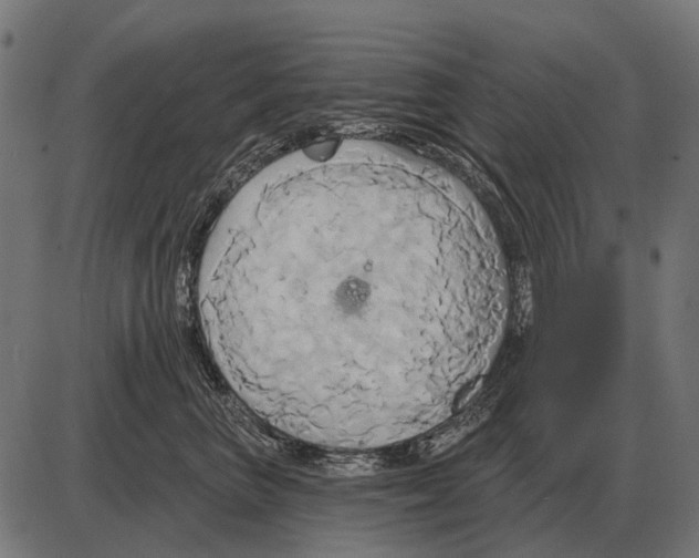 X0000084020667200703161741