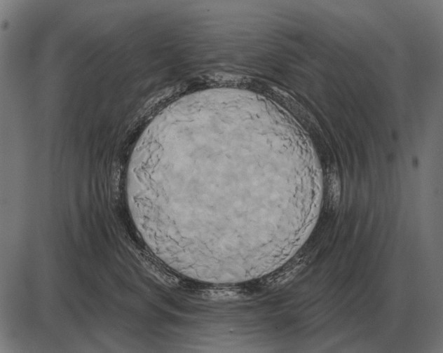 X0000084020668200703161741