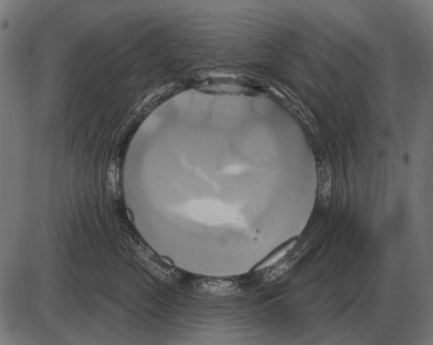 X0000084020669200703161741