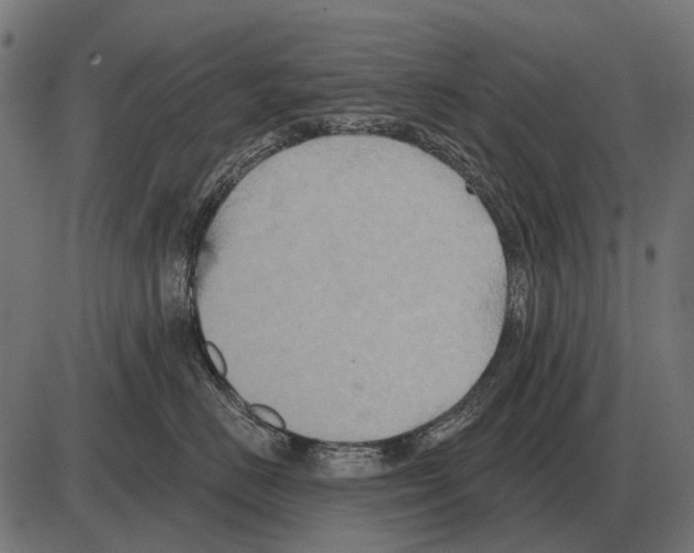 X0000084020670200703161741