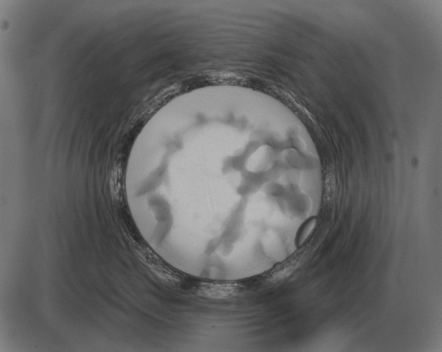 X0000084020671200703161741