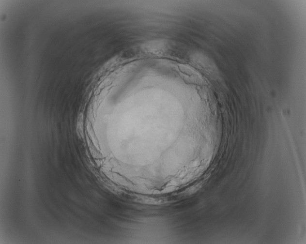 X0000084020672200703161741