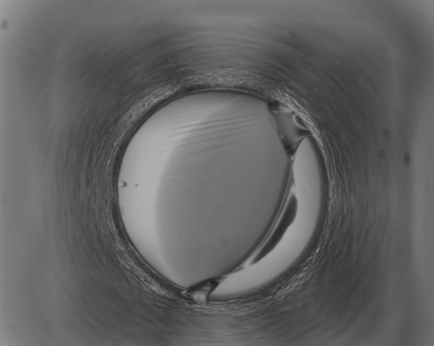 X0000084020673200703161740