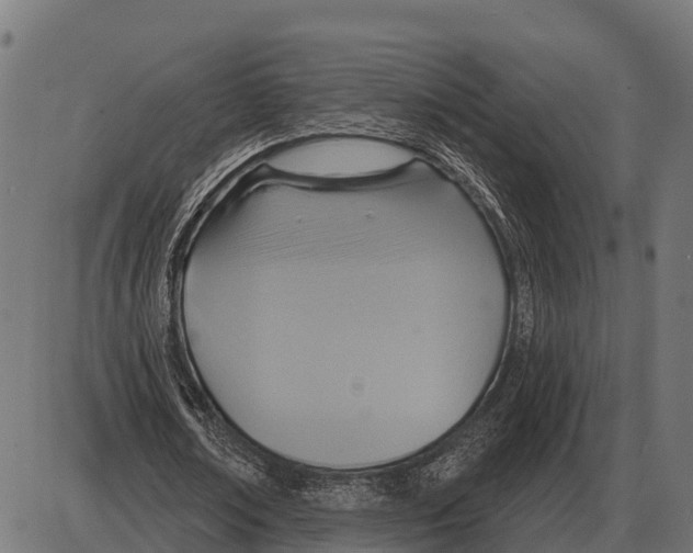 X0000084020674200703161740