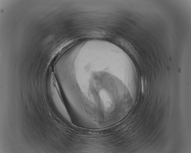 X0000084020675200703161740