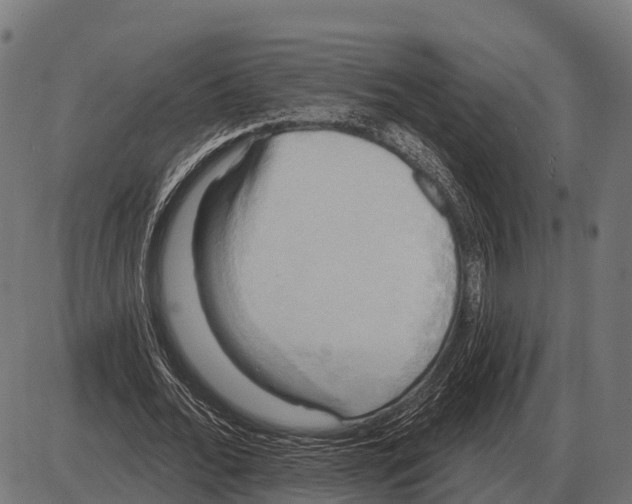 X0000084020676200703161740