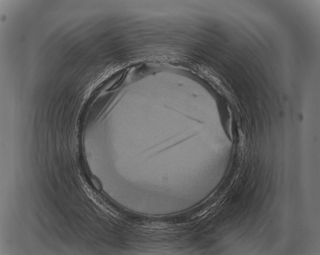 X0000084020677200703161740