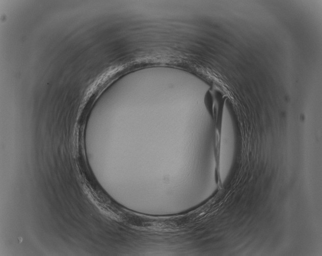 X0000084020678200703161740