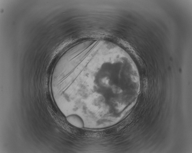 X0000084020679200703161740