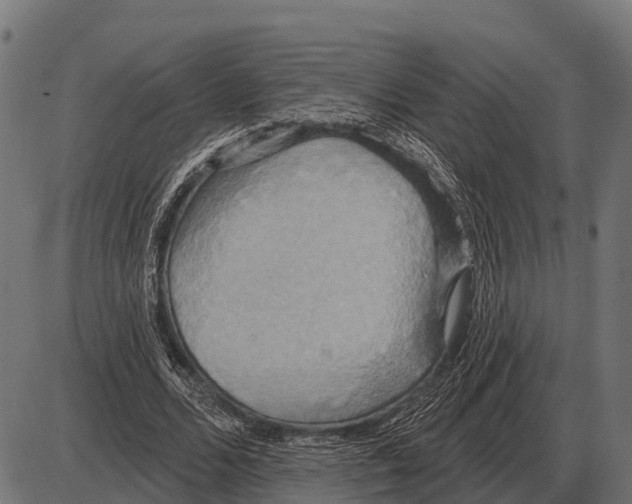 X0000084020680200703161740