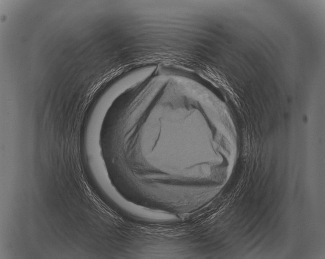 X0000084020681200703161740