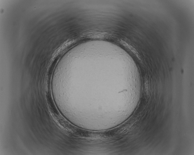 X0000084020682200703161740