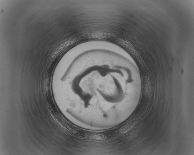 X0000084020683200703161740