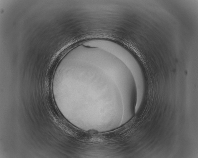 X0000084020684200703161740