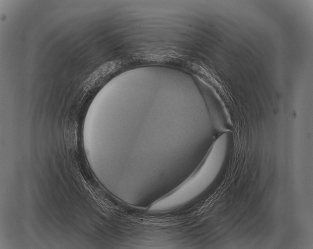 X0000084020685200703161740