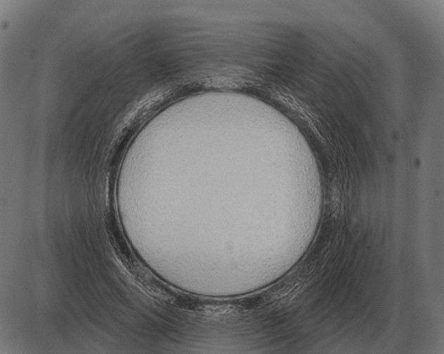 X0000084020686200703161740